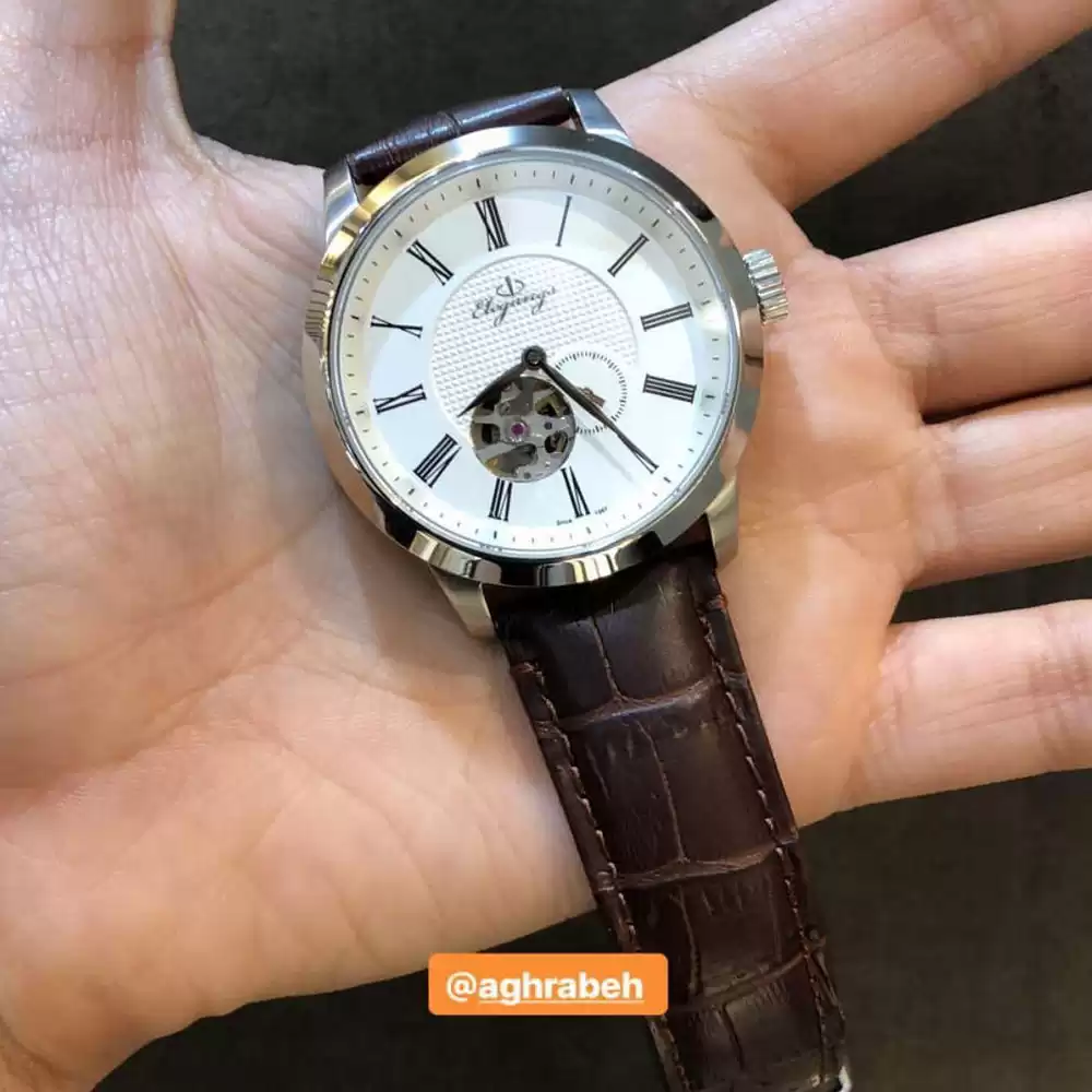 ساعت مچی مردانه الگنگس(s40)